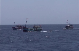 Ngư dân Quảng Ngãi phản đối lệnh cấm đánh bắt vô lý của Trung Quốc 