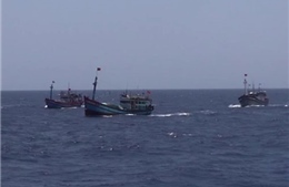 Tàu cá Trung Quốc đâm chìm tàu cá của ngư dân Đà Nẵng