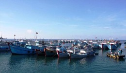 Ủng hộ 2,6 tỷ đồng giúp ngư dân Quảng Ngãi bám biển