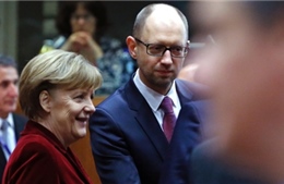 Về cuộc gặp giữa Thủ tướng Ukraine - Đức