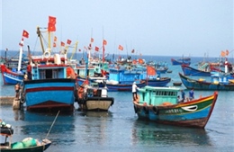 Hải Phòng sẵn sàng cho Tuần lễ biển và hải đảo Việt Nam 