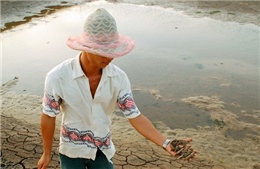 Bạc Liêu: Hơn 1.000 ha đất nuôi tôm hoang hóa vì thiếu nước 