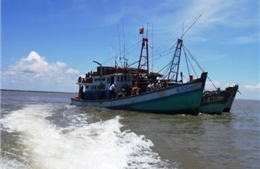 Sản lượng thủy sản khai thác biển ở Bạc Liêu tăng 