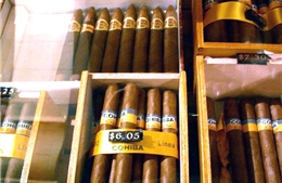 Cuba tăng cường xuất khẩu xì gà cuốn máy 