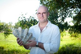 Phát hiện loài sò khổng lồ tại Australia