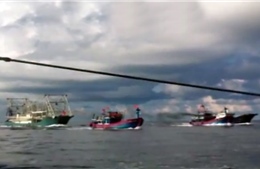 Cận cảnh tàu Trung Quốc đâm chìm tàu cá Việt Nam 