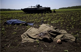 Hàng trăm binh sĩ Ukraine thiệt mạng tại Krasny Liman?