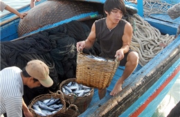 Ngư dân Nha Trang lập “đội bảo vệ chủ quyền”