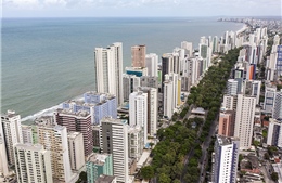 Thành phố Recife - Venice của Brazil 
