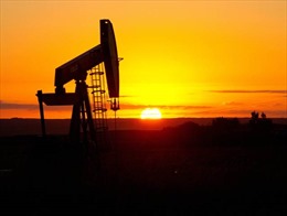 Giá dầu tiếp tục tăng