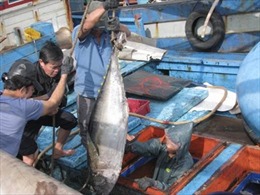 Trao thiết bị câu cá ngừ đại dương của Nhật Bản cho ngư dân