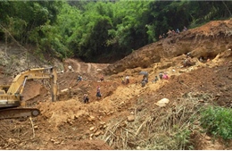 Bí thư Tỉnh ủy Đắk Nông chỉ đạo xử lý vụ xâm hại rừng Nam Nung 