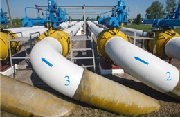 Ukraine thỏa hiệp giá khí đốt với Nga