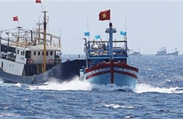 Tàu cá Trung Quốc ngang nhiên bao vây, ngăn chặn tàu cá Việt Nam 