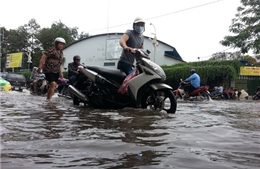 Vượt khó vươn lên làm giàu 