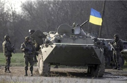 Nga kêu gọi OSCE &#39;thuyết phục&#39; Ukraine