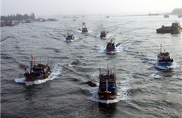 Ngư dân liên kết phát triển kinh tế biển 