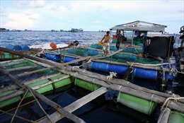 Kiên Giang phát triển kinh tế ven biển bền vững 