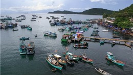 Chìm tàu tại Thanh Hóa, 8 ngư dân được cứu thoát