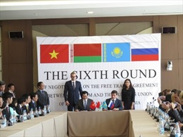 Việt Nam và Liên minh Hải quan kết thúc vòng 6 đàm phán FTA