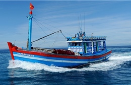 Hỗ trợ ngư dân yên tâm bám biển
