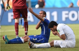 Luis Suarez bị cấm 4 tháng, Uruguay kháng cáo