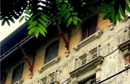 TP Hồ Chí Minh: Đưa thêm 35 biệt thự cũ vào diện quản lý, bảo tồn