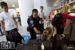 Mỹ tăng cường an ninh sân bay vì lo ngại khủng bố 