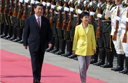 Chủ tịch Trung Quốc Tập Cận Bình thăm Hàn Quốc 