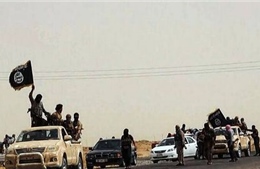 Phiến quân Syria yêu cầu viện trợ chống ISIL