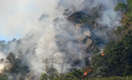 Khống chế đám cháy tại rừng đặc dụng Đèo Cả