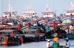 Chính phủ ban hành chính sách hỗ trợ ngư dân 