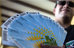 Brazil triệt phá đường dây phe vé quốc tế