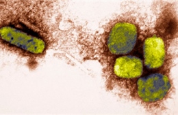 Phát hiện lọ chứa virus đậu mùa tại Mỹ