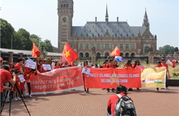 Biểu tình phản đối Trung Quốc tại La Haye, Hà Lan