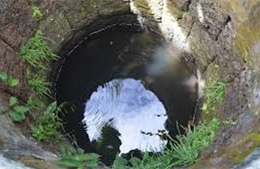 Cây quăn lá tại Kon Tum: Chưa phát hiện giếng nước bị nhiễm độc 