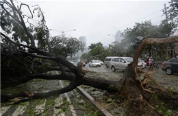 Bão Rammasun gây nhiều thiệt hại tại Philippines