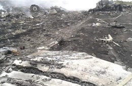 Chiến đấu cơ Ukraine bắn rơi máy bay Malaysia? 