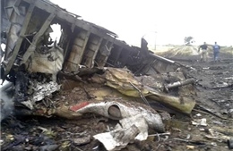 Không ai sống sót trong vụ máy bay Malaysia rơi ở Ukraine 