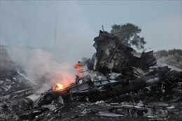 Malaysia quyết điều tra nguyên nhân vụ rơi máy bay ở Ukraine