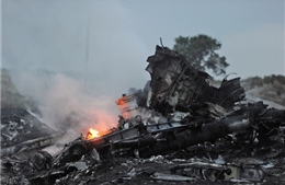 Bộ Quốc phòng Nga tuyên bố về tai nạn máy bay Malaysia 