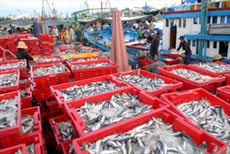 Nghiệp đoàn nghề cá giúp ngư dân yên tâm bám biển      