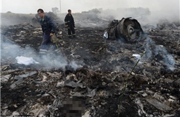 Hỗ trợ thân nhân 3 người Việt trong vụ máy bay rơi