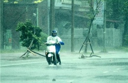 Bão số 2 gây gió mạnh và mưa lớn tại Quảng Ninh 