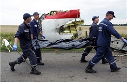 Tìm được 196 thi thể nạn nhân vụ máy bay MH17