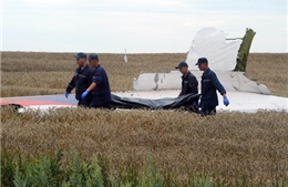 Hai phe Ukraine nhất trí đưa thi thể nạn nhân MH17 khỏi hiện trường