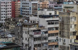 Cuộc sống bấp bênh trên nóc nhà Hong Kong 