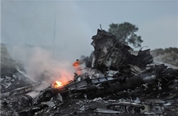 Số phận của Malaysia Airlines sau thảm kịch MH17
