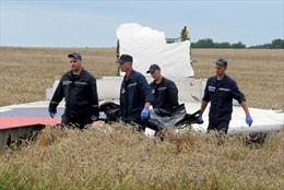 Công tác khắc phục hậu quả tai nạn MH17 tiến triển tích cực