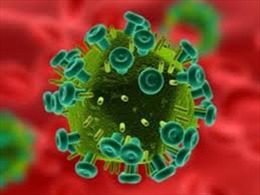 Thử nghiệm thành công phương pháp tách virus HIV khỏi tế bào người 